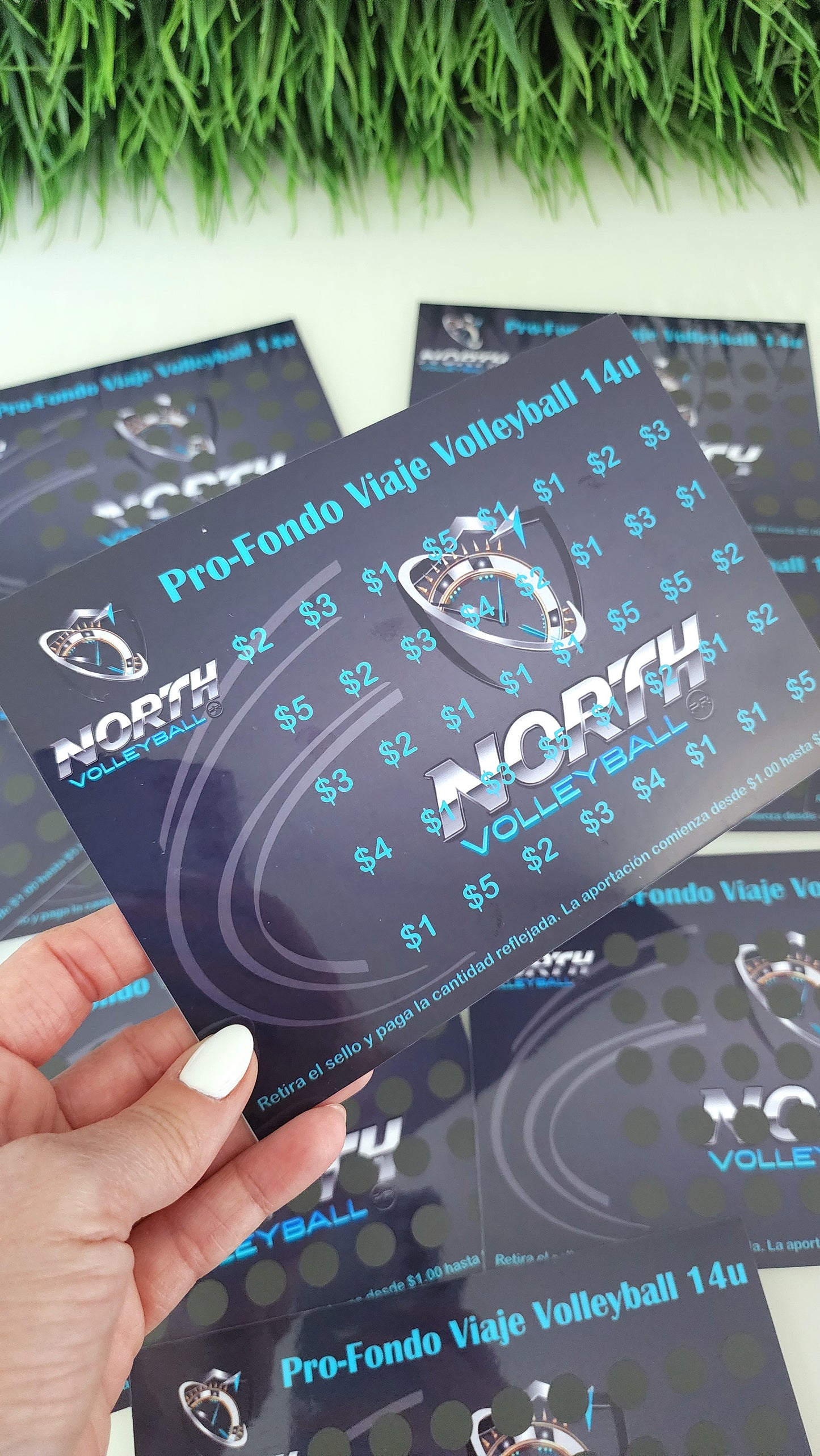 Fundraising Cards