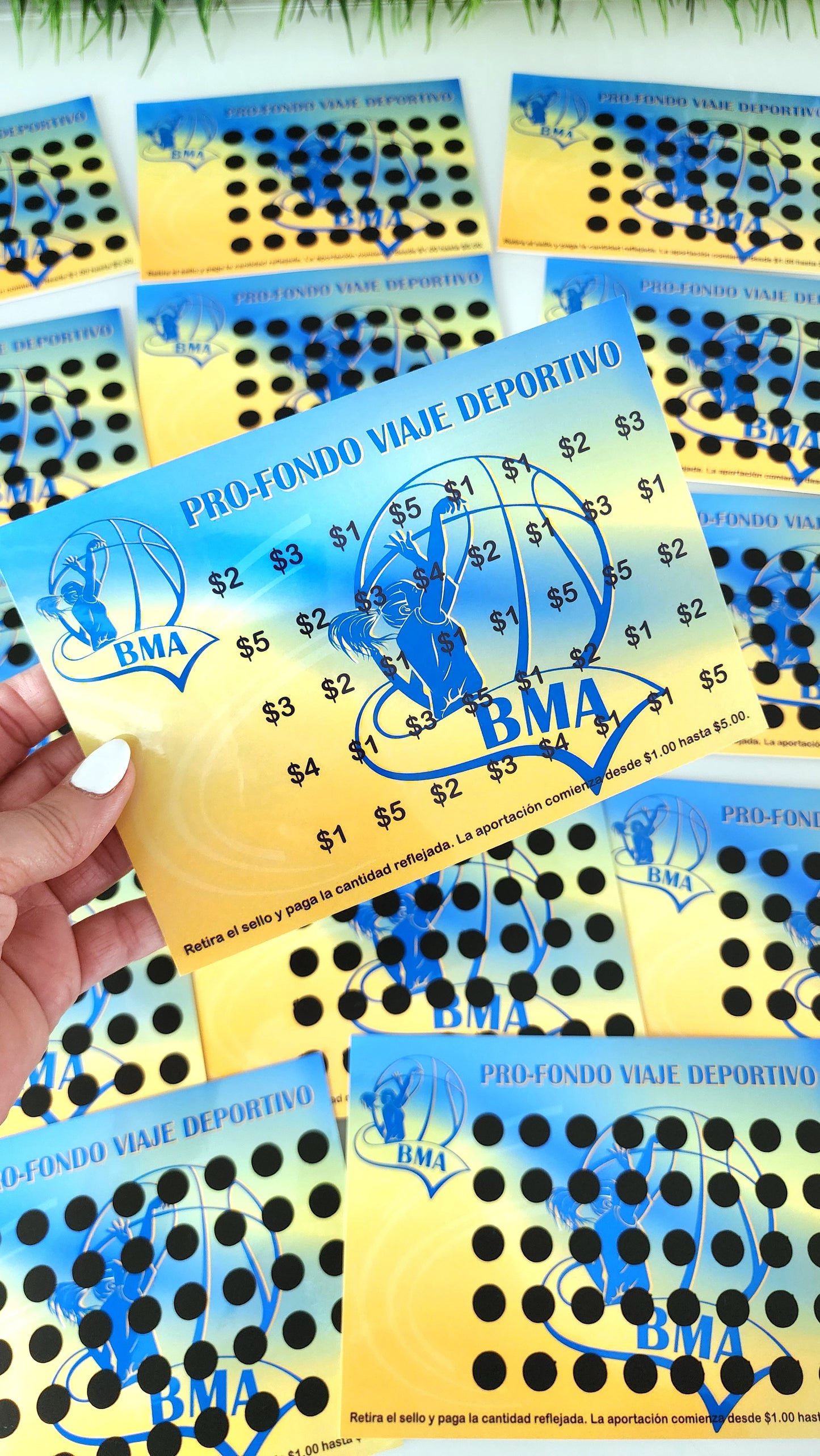 Fundraising Cards