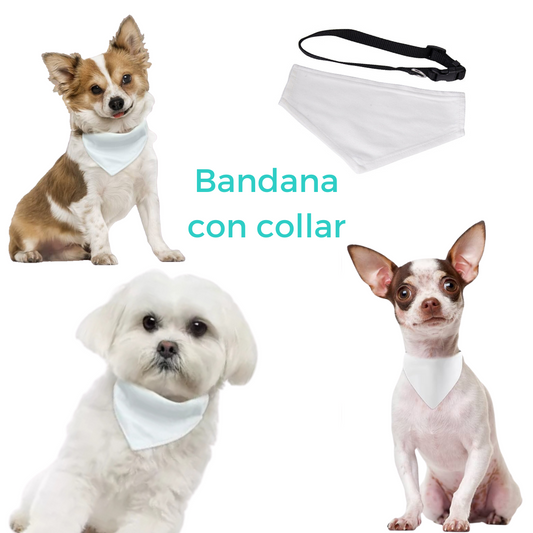 Bandana para mascotas